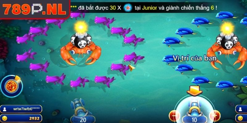 Cơ chế hoạt động và cách chơi Câu Cá Chiến