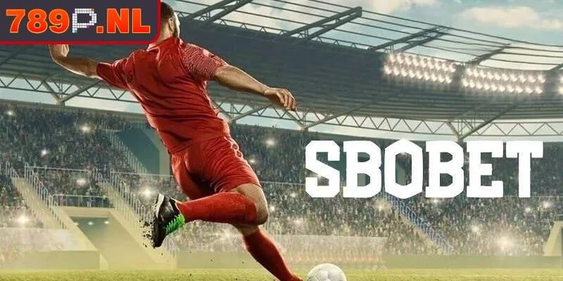 Sảnh SBO 789P Thiên Đường Cá Cược Thể Thao Độc Quyền 1 Tổng quan về không gian cá cược sảnh SBO 789P